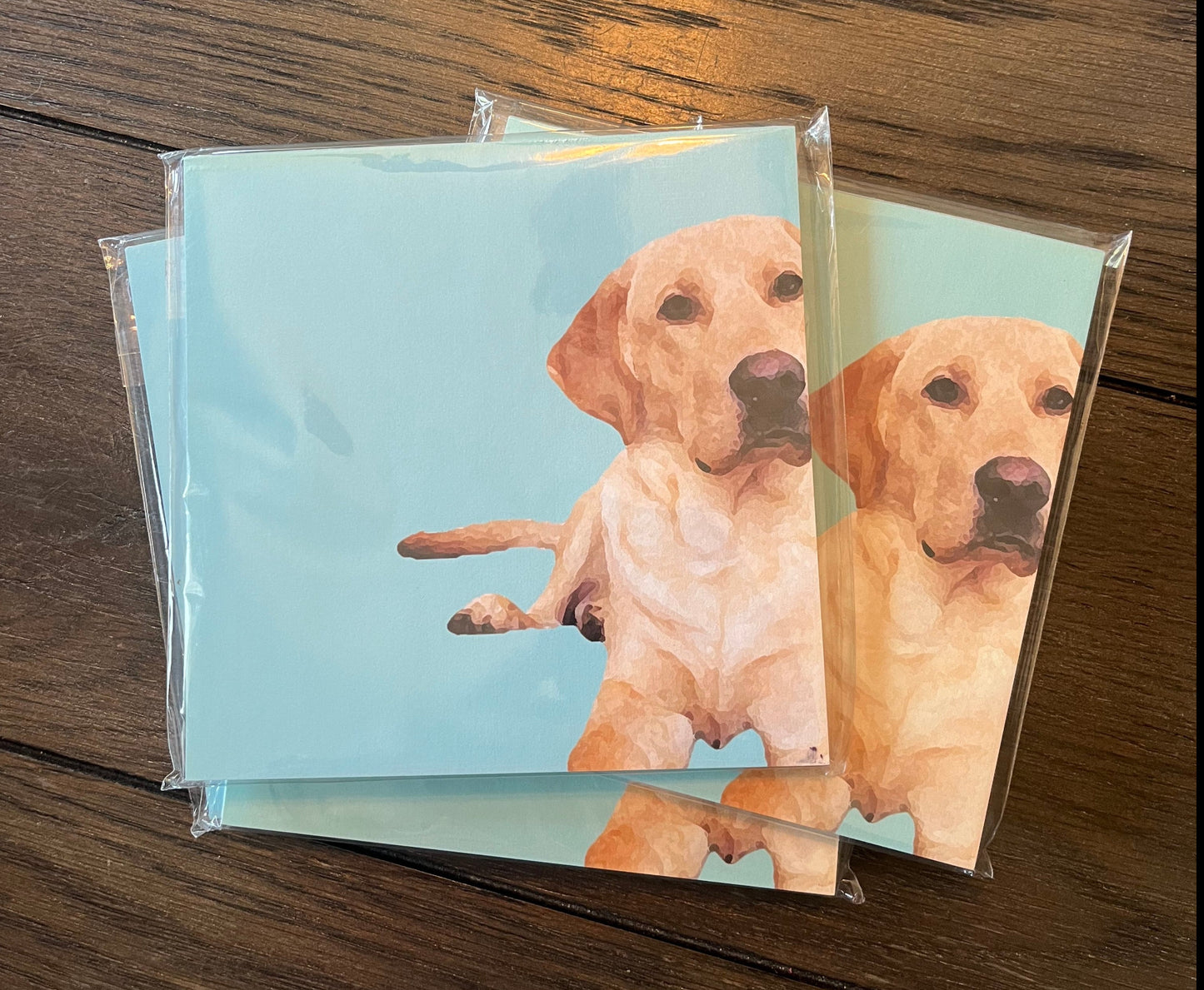 5.5X5.5 Notepad - Odis 2